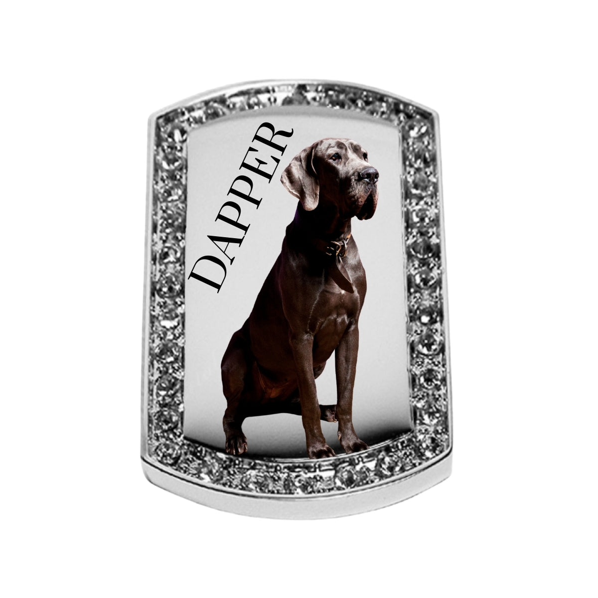 Silver Dog Tag Pendant Custom Necklace With Crystal Border