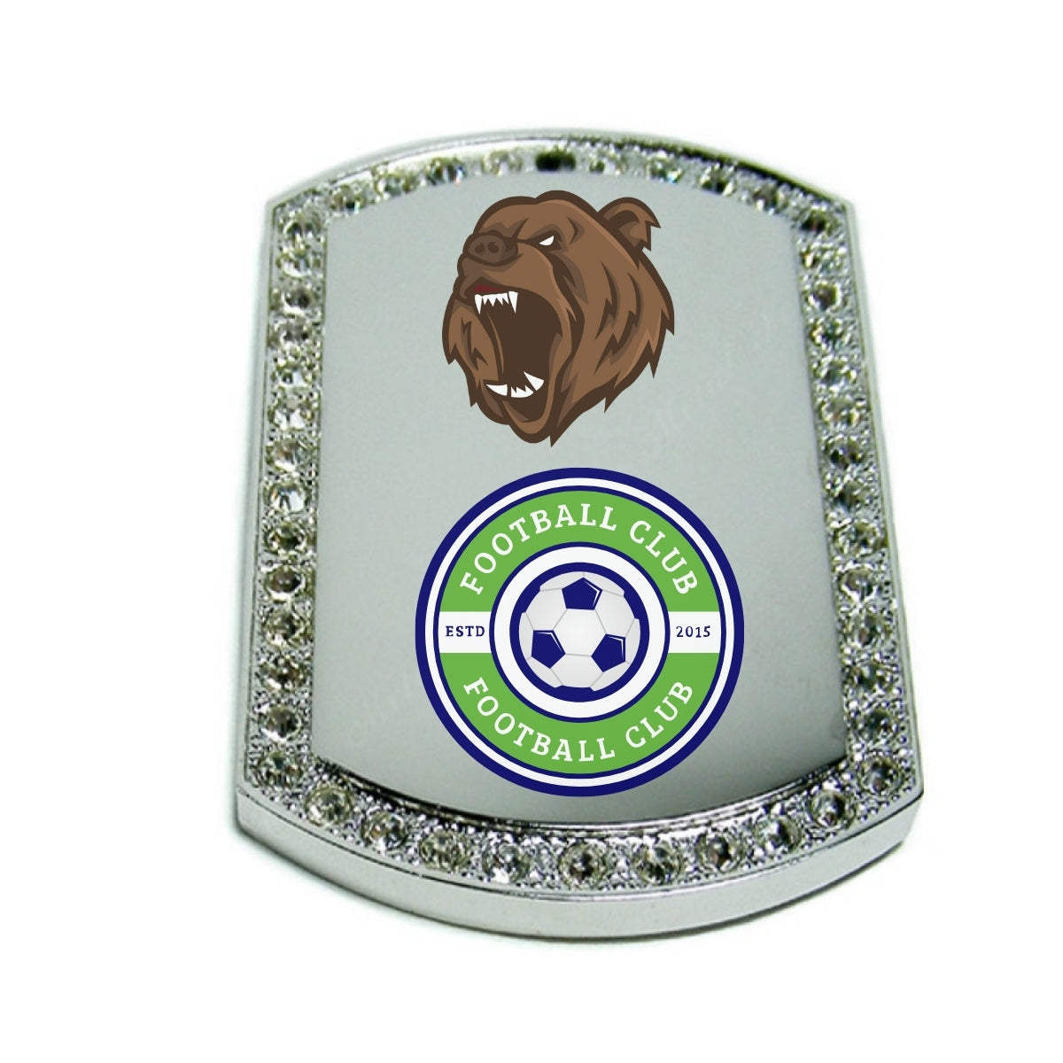 Silver Large Dog Tag Pendant with Crystal Border – Custom Photo Necklace