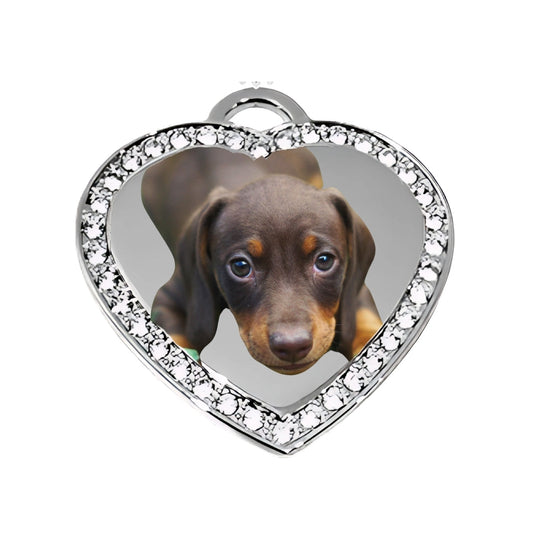 Silver Heart Pendant Custom Photo Necklace with Crystal Border Dog picture